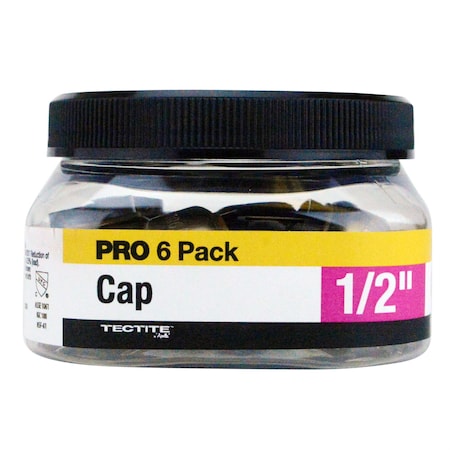 Apollo 1/2 in. Brass Push-To-Connect Cap Jar (6-Pack), 6PK FSBCAP126JR